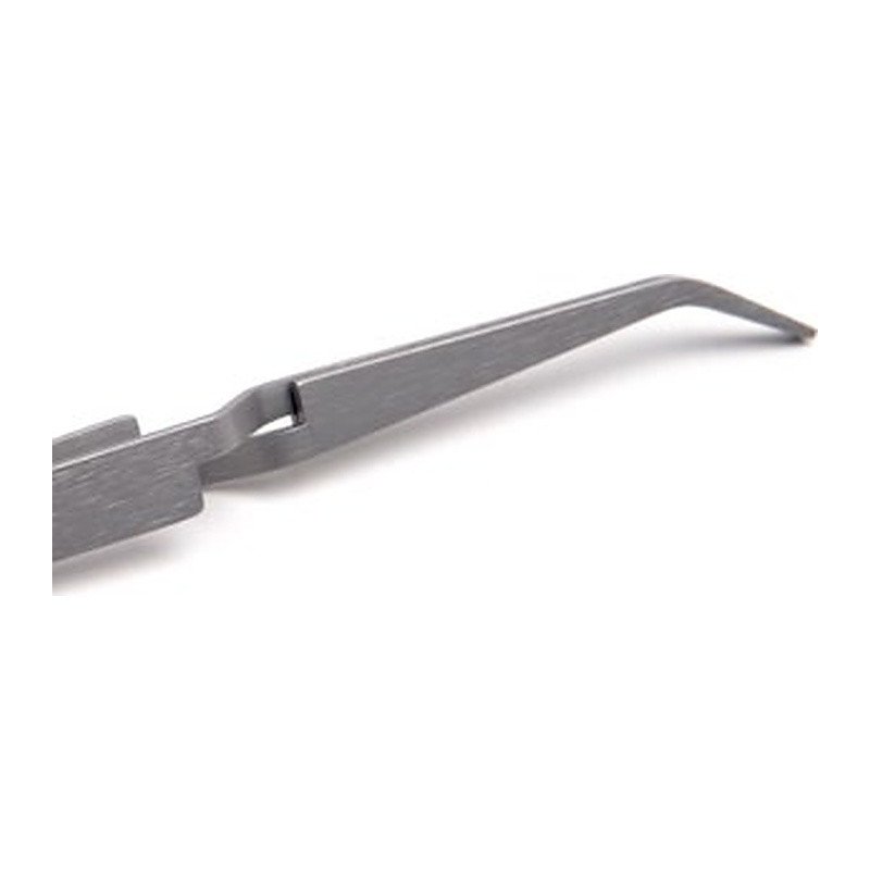 Pinza Tweezers - Organic Nails