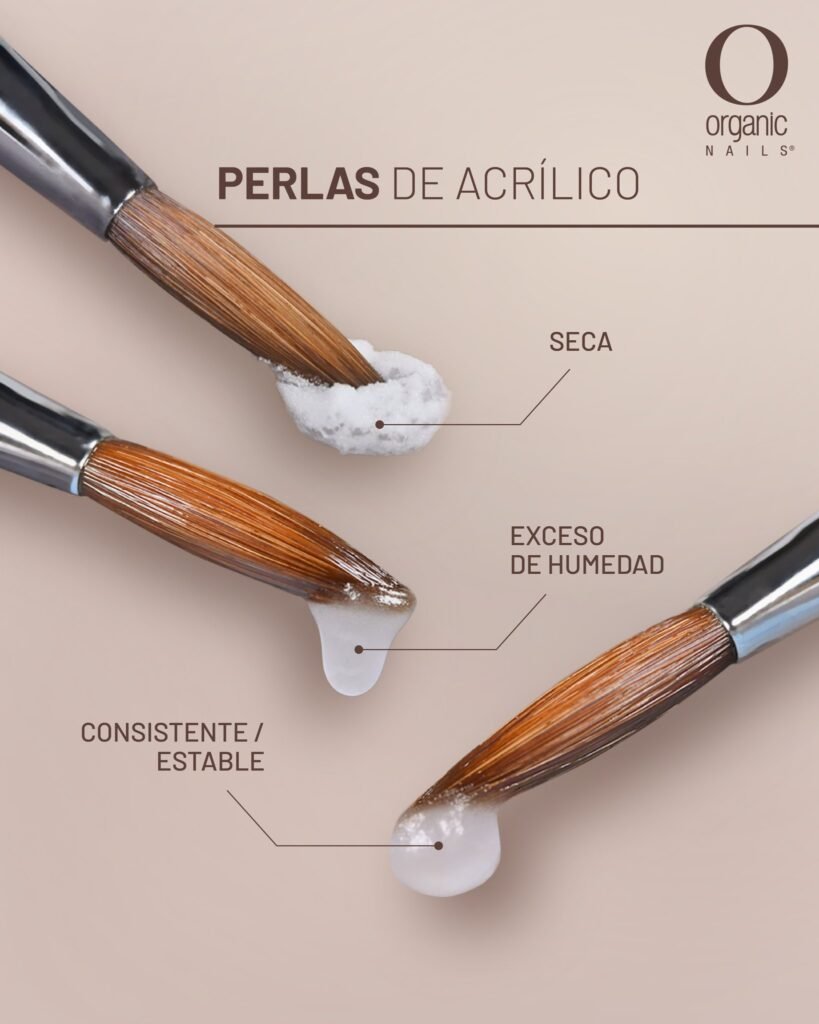 Para crear la perla perfecta, es crucial dedicar el tiempo necesario a las primeras 3 fases del proceso de polimerización del acrílico: 𝐏𝐫𝐞𝐩𝐚𝐫𝐚𝐜𝐢𝐨́𝐧, 𝐄𝐧𝐜𝐚𝐝𝐞𝐧𝐚𝐝𝐨 𝐲 𝐄𝐦𝐮𝐥𝐬𝐢𝐨́𝐧.